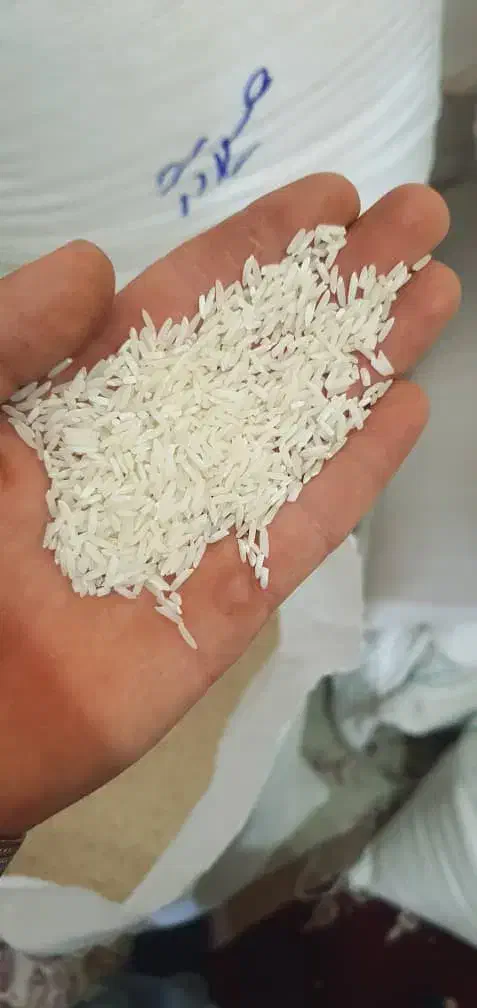 برنج ایرانی|خوردنی و آشامیدنی|مهربان, |دیوار