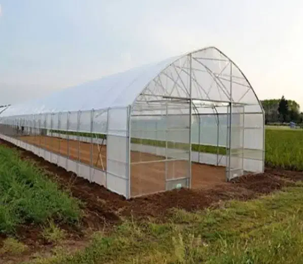 گلخانه|فروش دفتر صنعتی، کشاورزی، تجاری|شاندیز, |دیوار