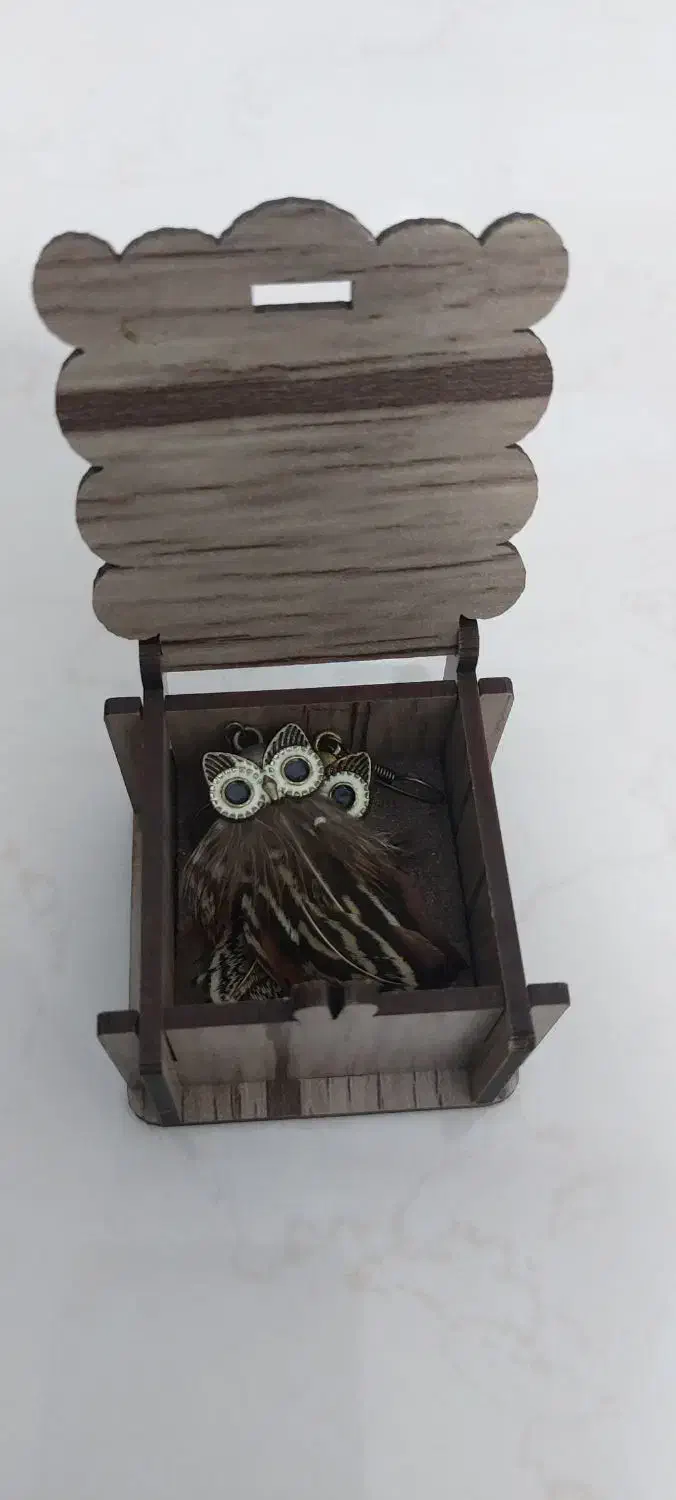 گوشواره پر|بدلیجات|الوند, |دیوار