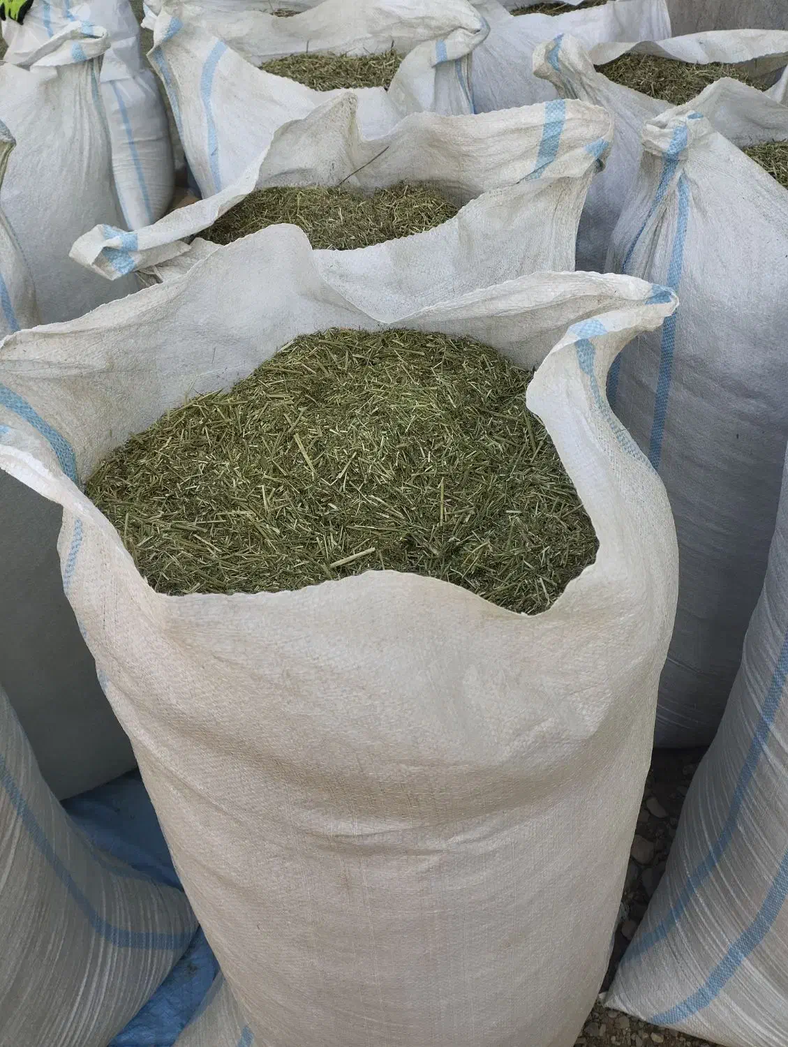 کاه یونجه خرد شده|خدمات باغبانی و درختکاری|دشتابی, |دیوار