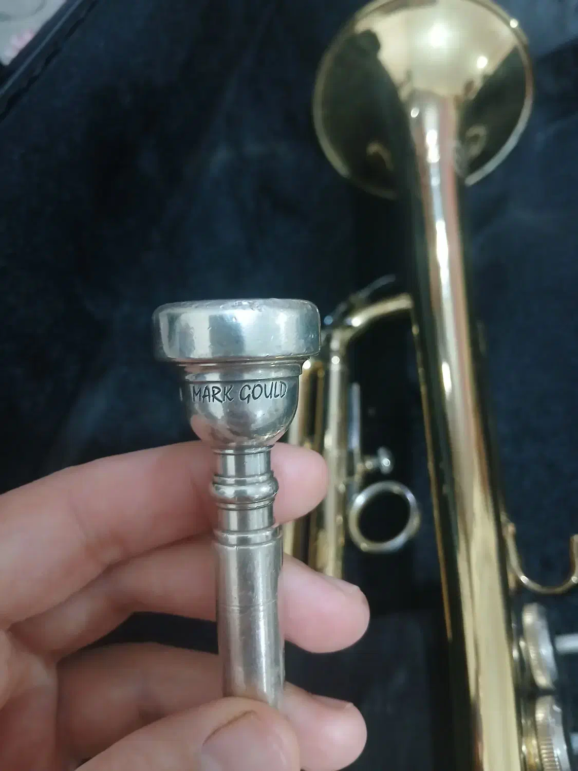 ترومپت طلایی شاتو|سازهای بادی|اقبالیه, |دیوار