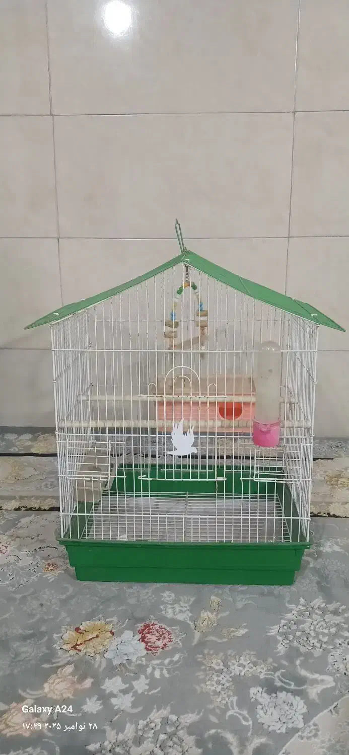 قفس|لوازم جانبی حیوانات|کرج, حصارک پایین|دیوار