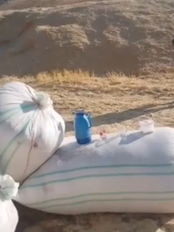 کاه درجه یک ۷۵خلوار|لوازم جانبی حیوانات|ساوه, |دیوار