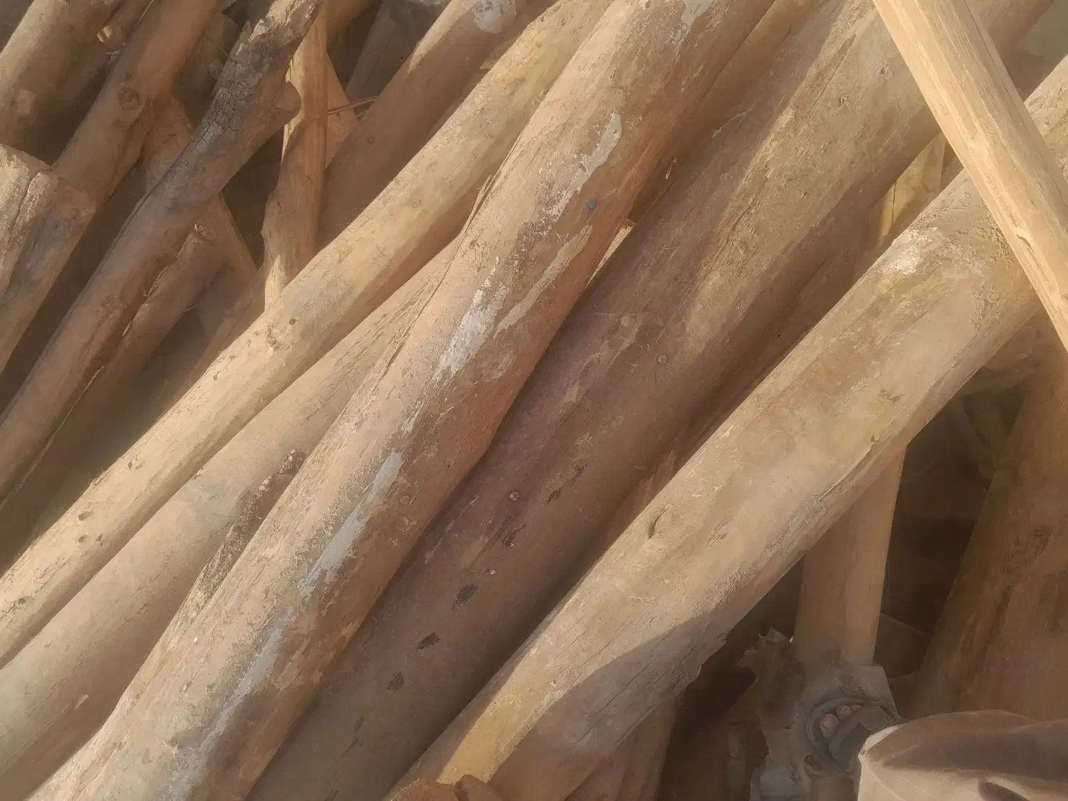 دار کبوده وتخته|مصالح و تجهیزات ساختمان|لردگان, |دیوار