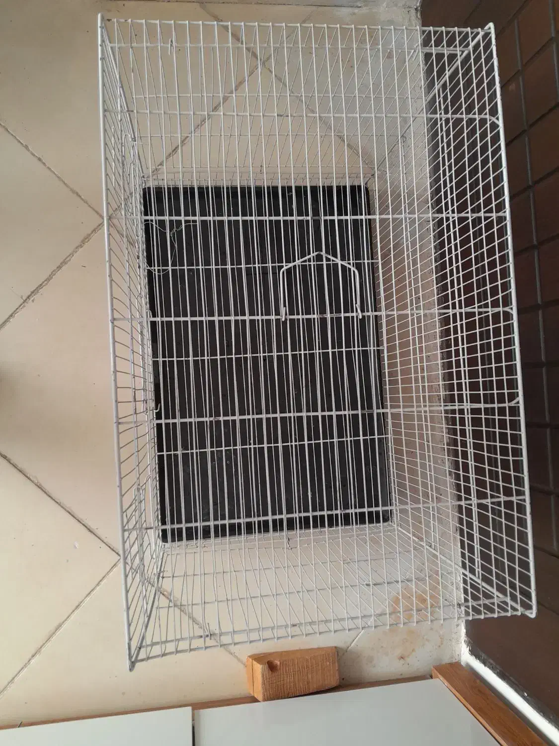 قفس|لوازم جانبی حیوانات|گلبهار, شهر جدید گلبهار|دیوار