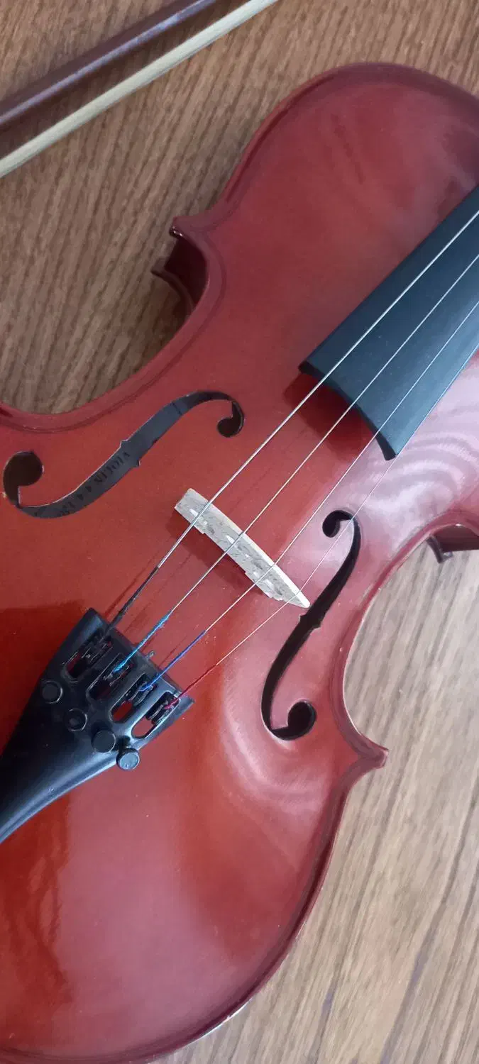 ویولن رناتو ۱۲۰|ویولن|کرمانشاه, |دیوار