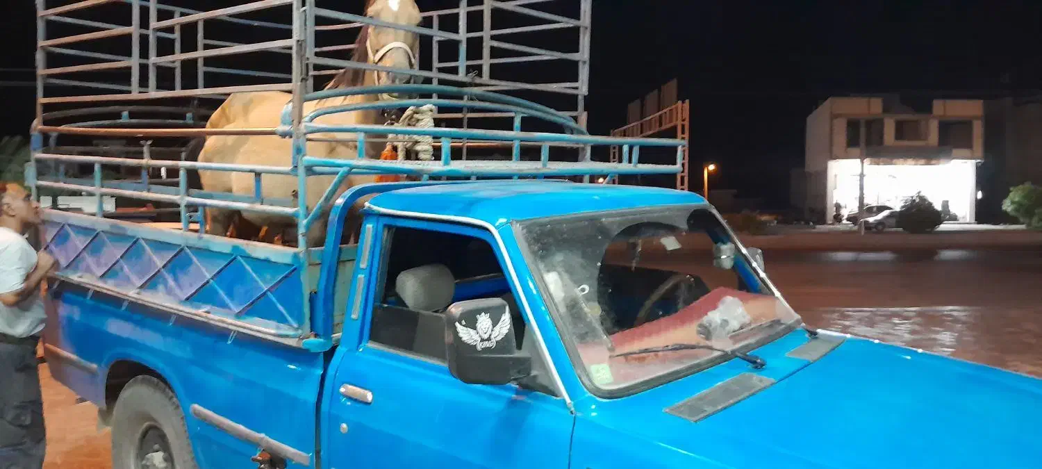 حمل بار ودام حیووانی.فارس فیروزاباد|خدمات حمل و نقل|فیروزآباد (فارس), |دیوار