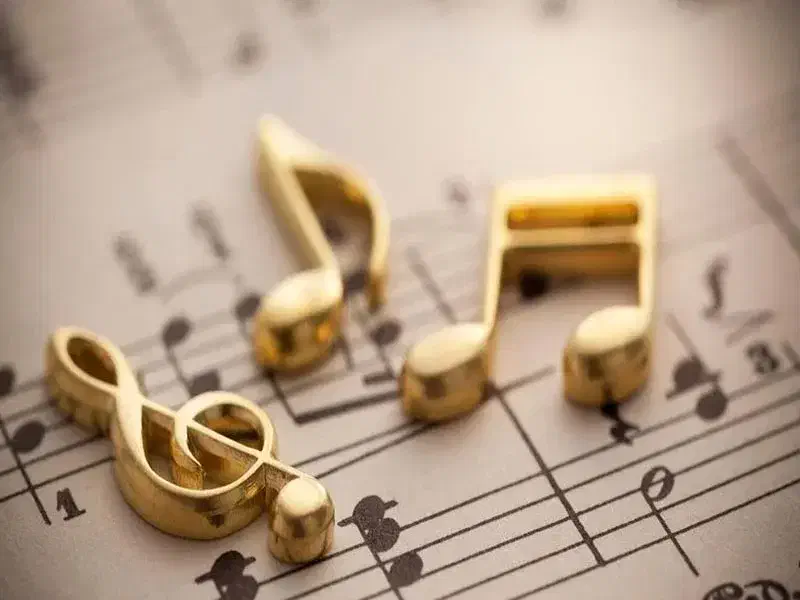 آموزش آکادمیک سنتور،دف،تمبک و تعمیرات سنتور|خدمات آموزشی|رباط‌کریم, رباط‌کریم|دیوار