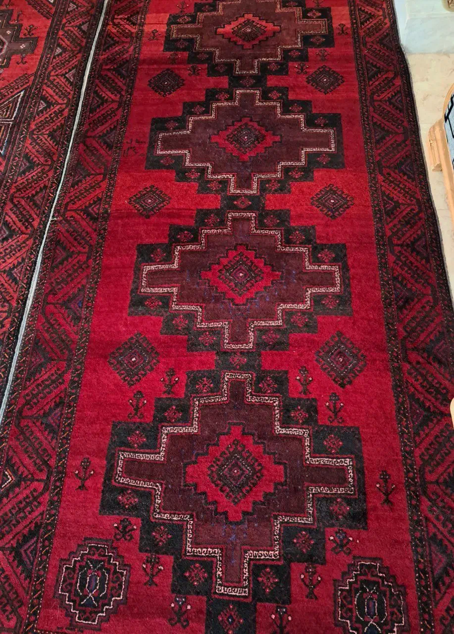 قالی کردی|فرش|اسفراین, |دیوار