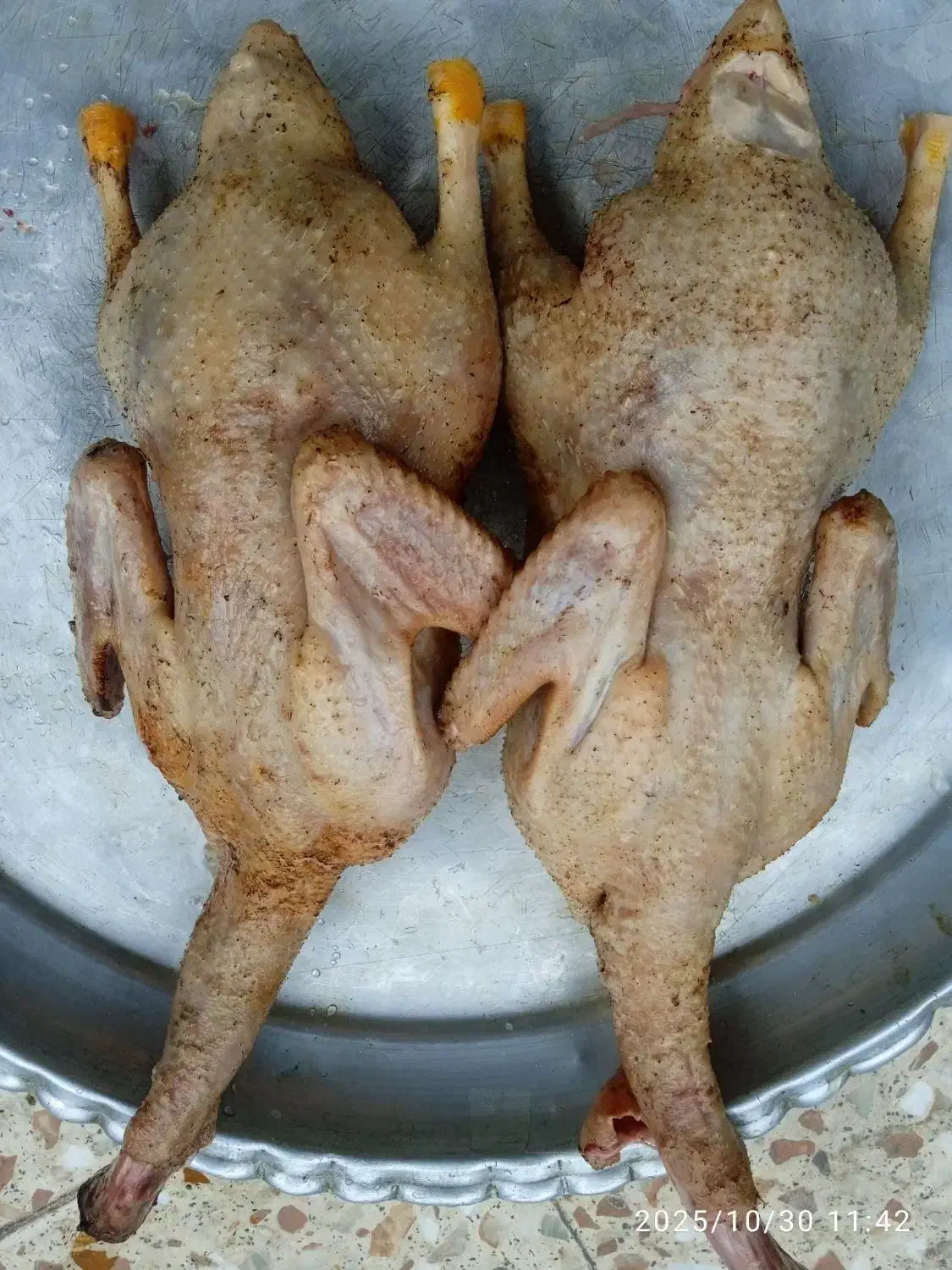 اوردک محلی کیلویی ۴۵۰هزار تومن با کیفیت عالی|حیوانات مزرعه|املش, |دیوار