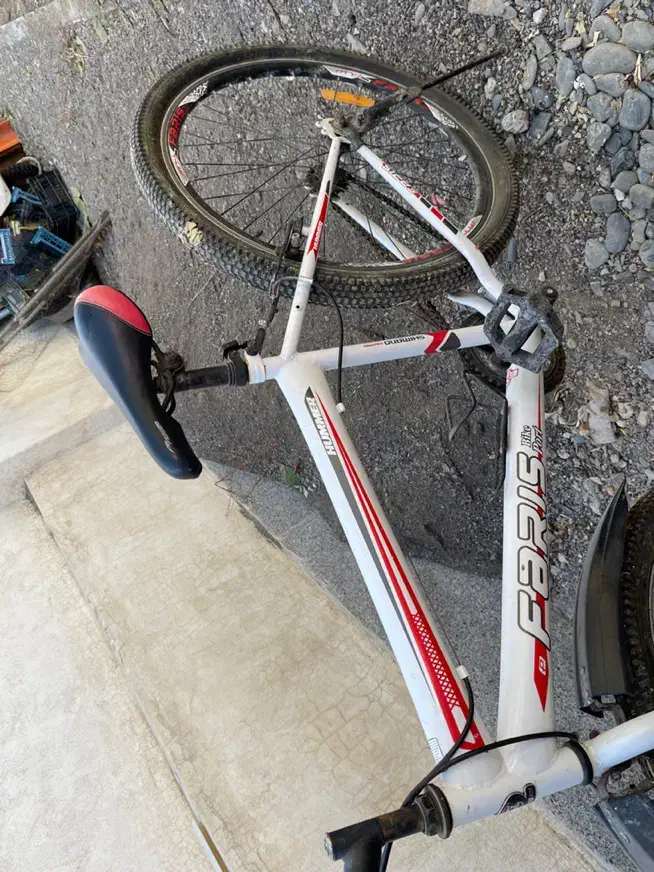 دوچرخه ۲۴|دوچرخه، اسکیت، اسکوتر|شاندیز, |دیوار