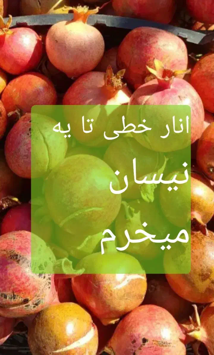 انار  خطی|خوردنی و آشامیدنی|جعفرآباد, |دیوار