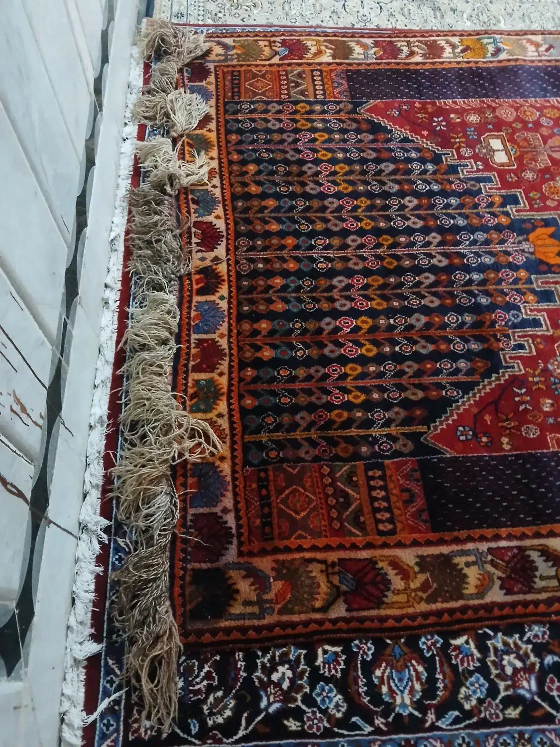 فرش ۶ متری دستباف|فرش|زاهدان, |دیوار