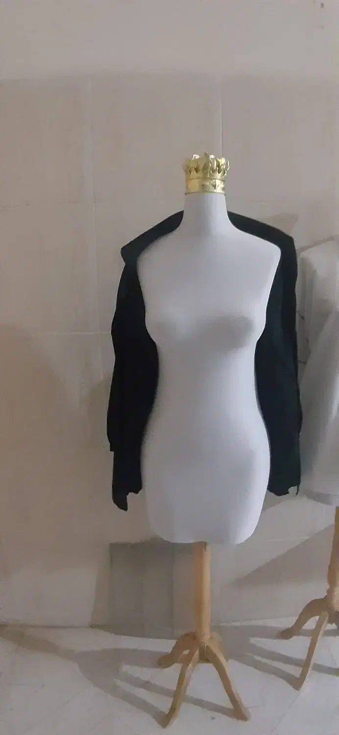 مانکن|فروشگاه و مغازه|ایلام, |دیوار