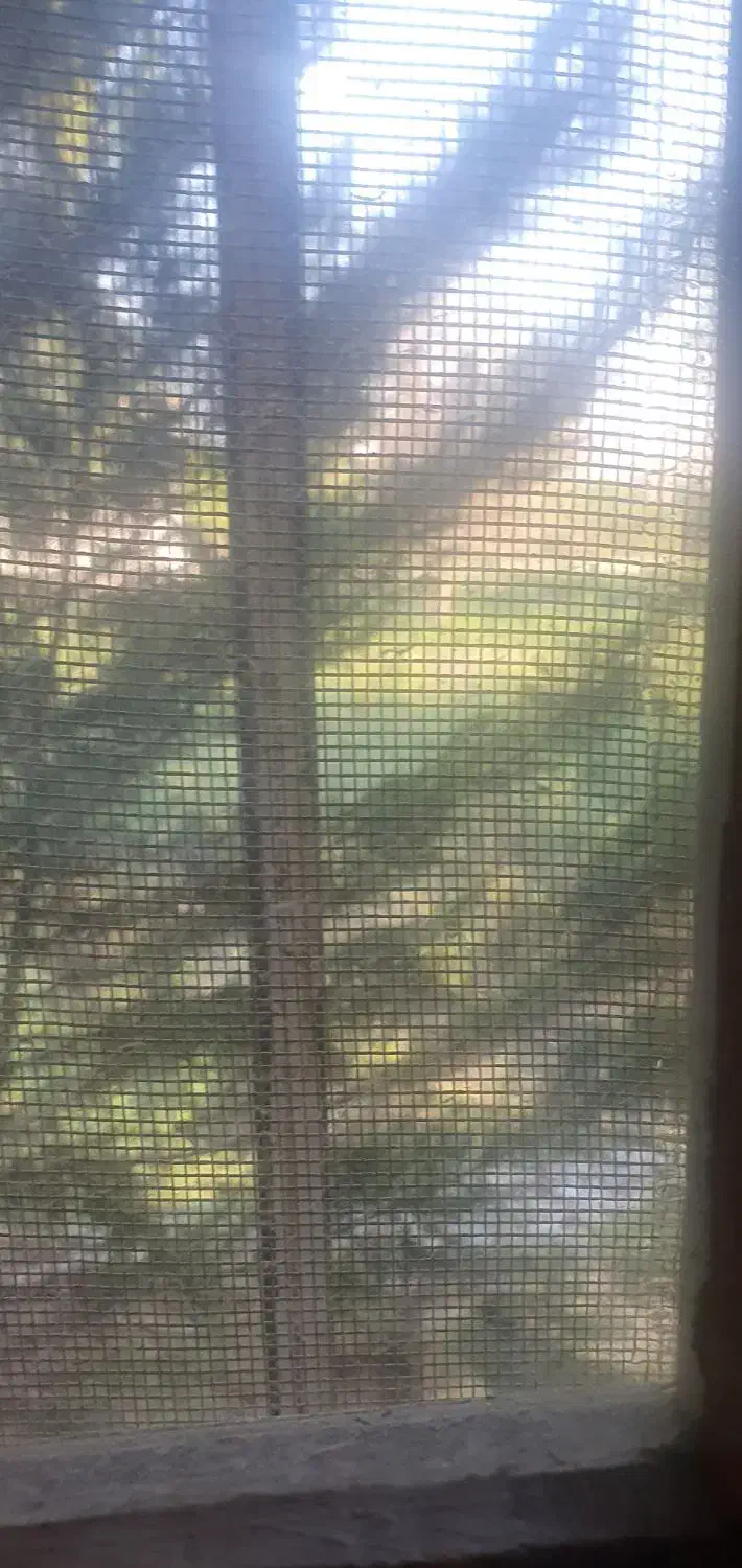 سرایدار  خانه باغ|استخدام سرایداری و نظافت|رویان, |دیوار