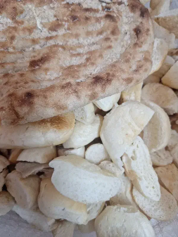 نان خشک|لوازم جانبی حیوانات|مشهد, مقدم|دیوار