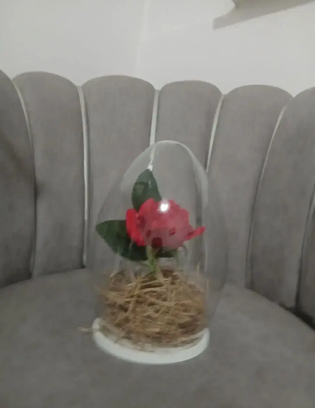 گل مصنوعی|گل مصنوعی|قرچک, میرزائی شمالی|دیوار