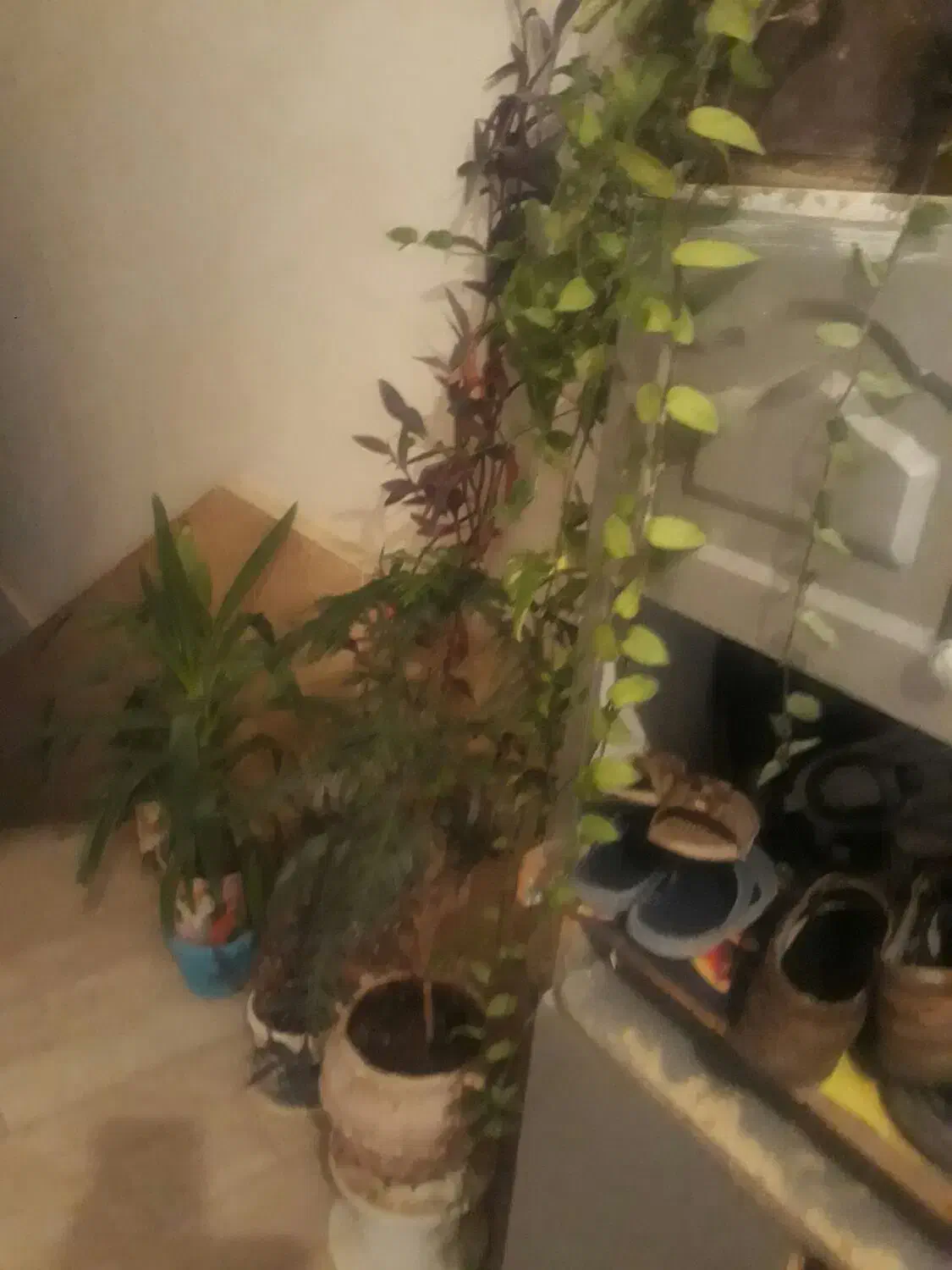 فروش مسکن مهر درجه یک|فروش آپارتمان|الشتر, |دیوار