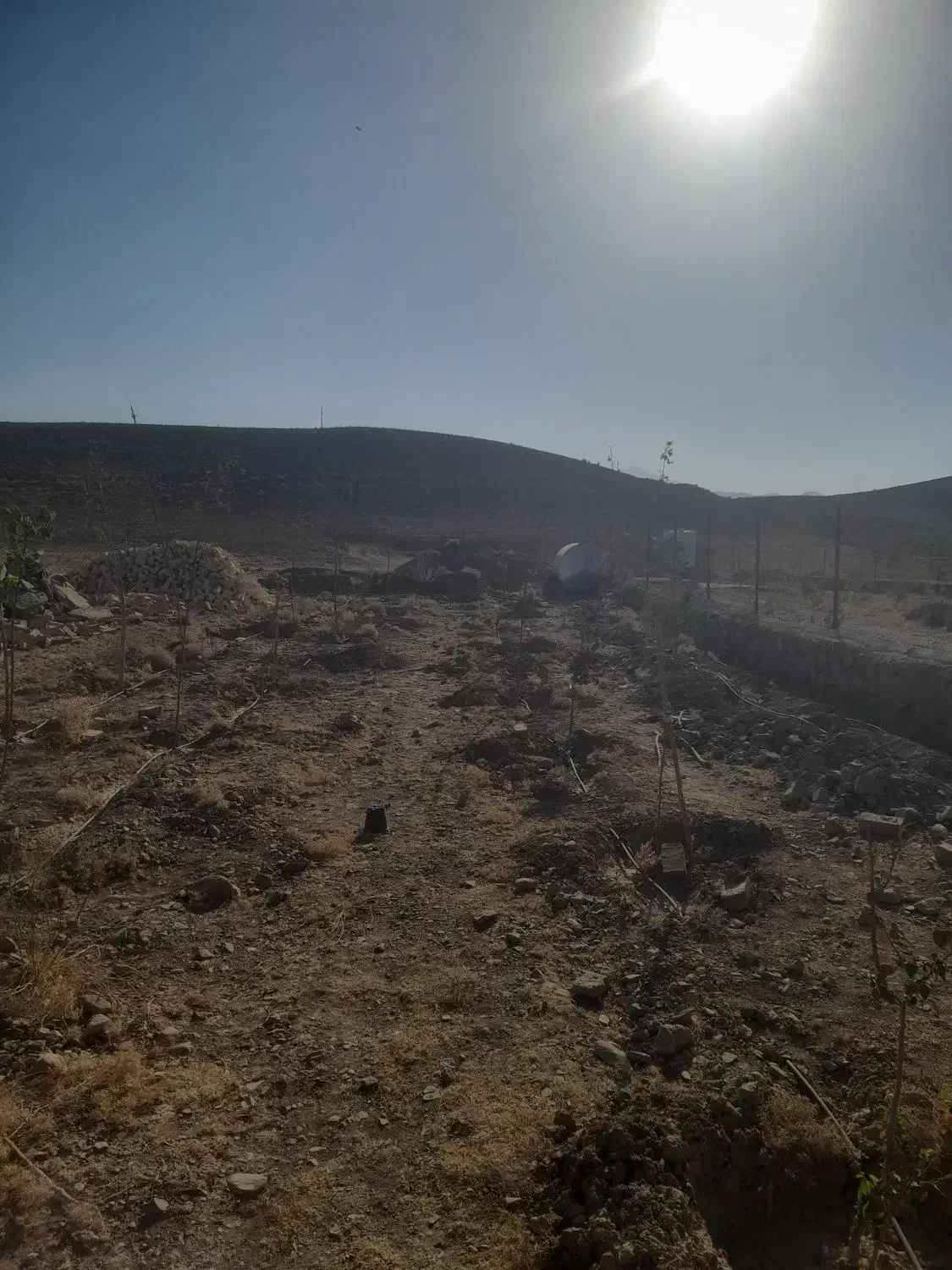 زمین واقع در کهک روستای میم|فروش زمین و ملک کلنگی|قم, الوندیه و گذر صادق|دیوار