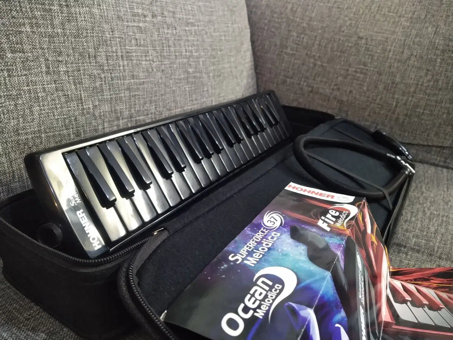 ملودیکا هوهنر|پیانو، کیبورد، آکاردئون|هشتگرد, هیو|دیوار