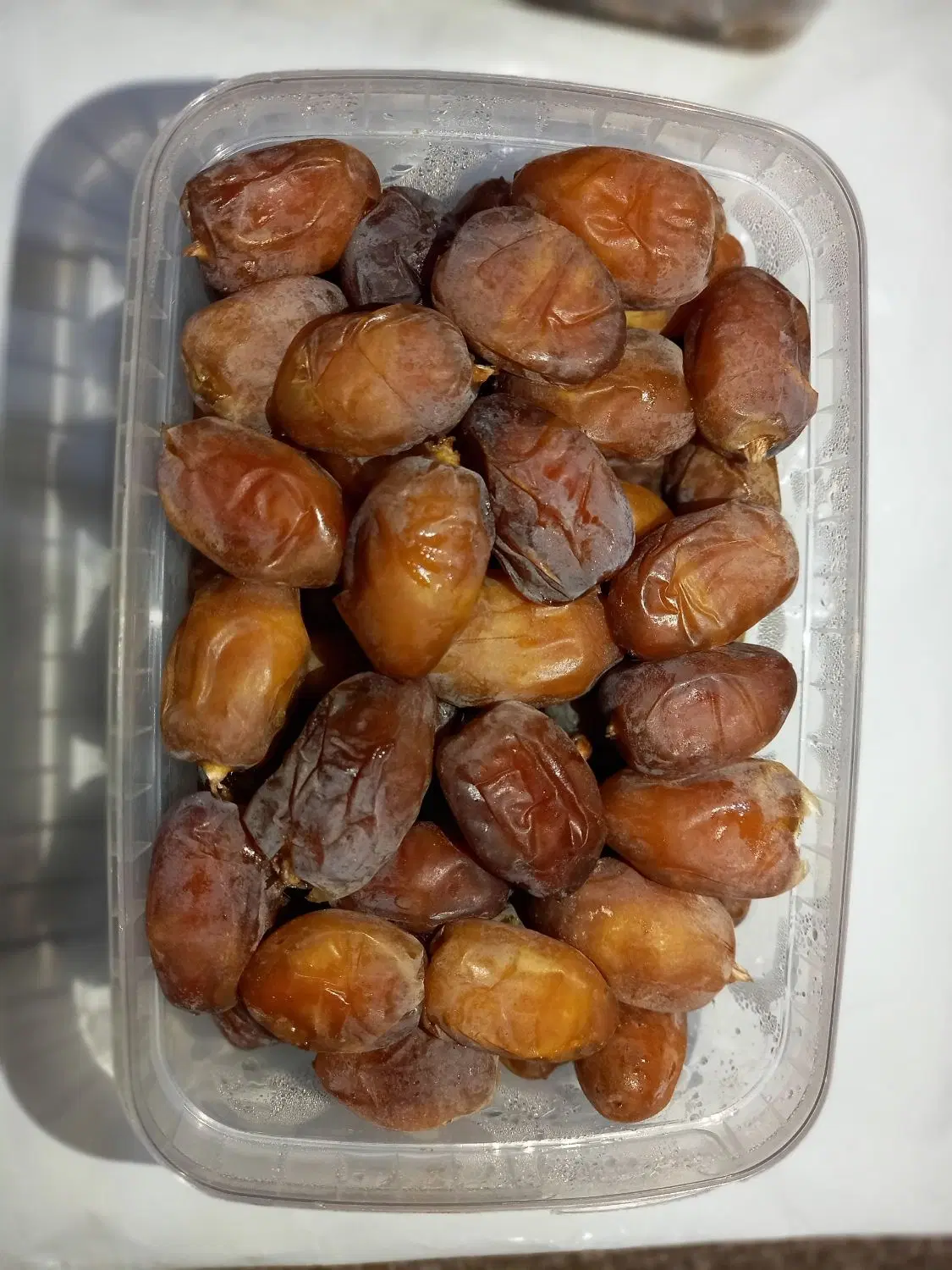 خرما و رطب کبکاب|خوردنی و آشامیدنی|تهران, حر|دیوار