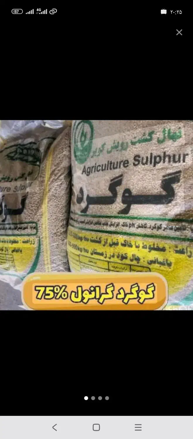 کوده بهاره|گل و گیاه طبیعی|دیواندره, |دیوار