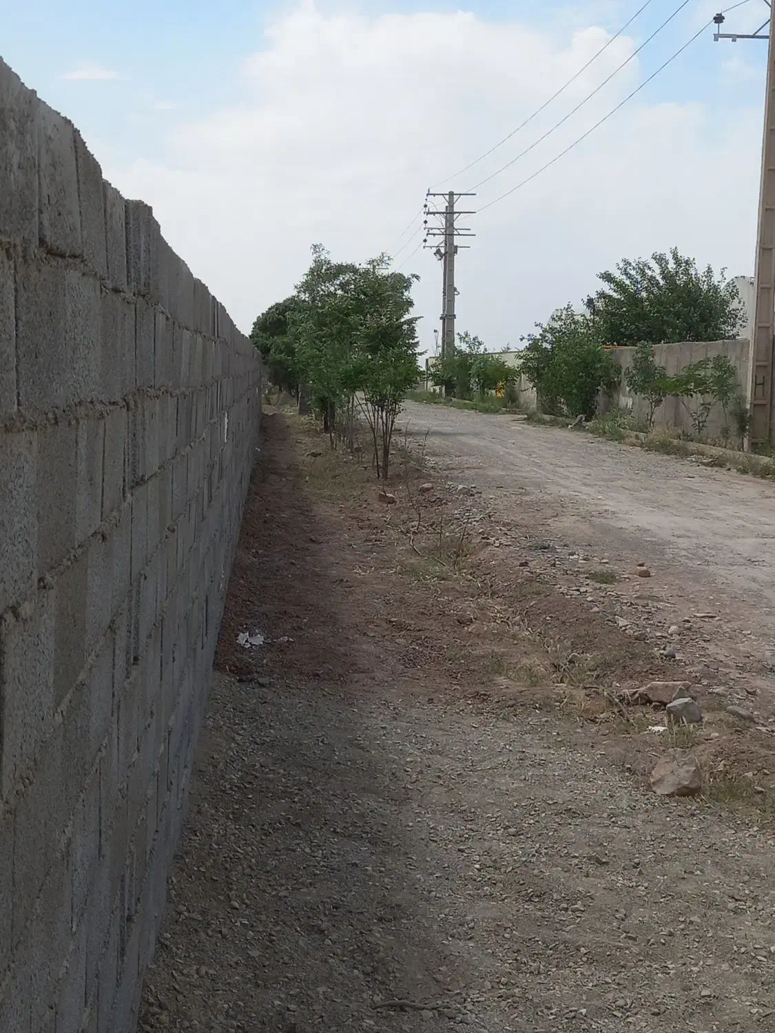 ۵۰۰۰ متر زمین چهاردیواری سنددار دارای مجوز گلخانه|فروش دفتر صنعتی، کشاورزی، تجاری|نظرآباد, رسالت|دیوار