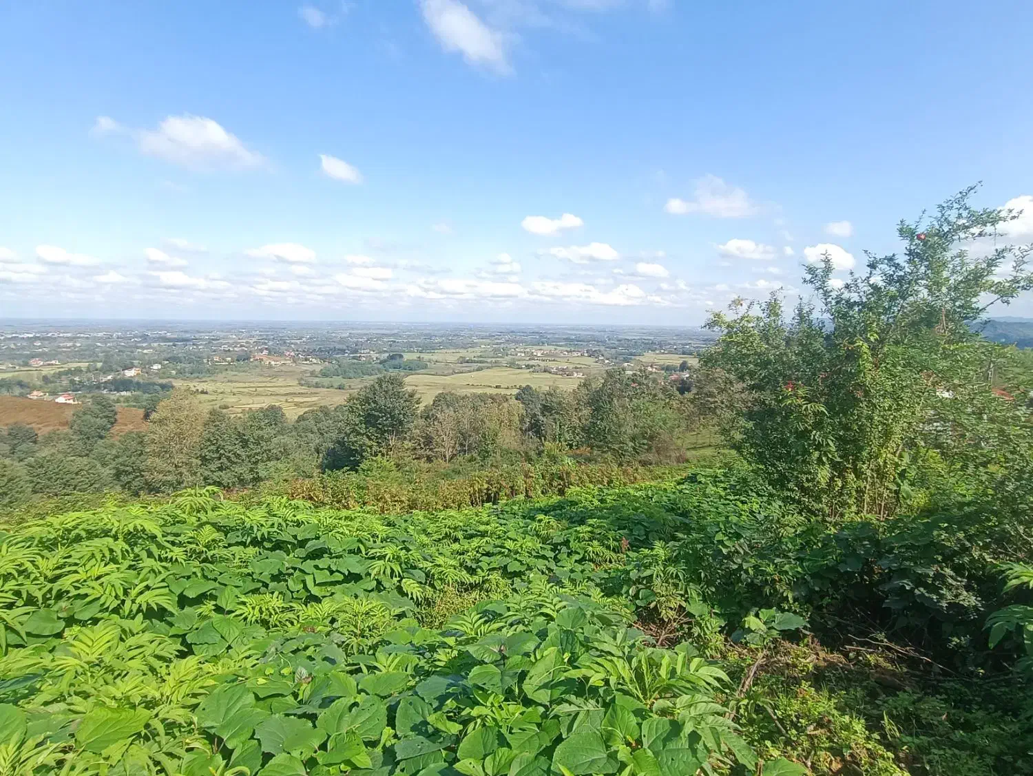 زمین ۲۰۰ متری لاهیجان چسبیده به بافت مسکونی|فروش زمین و ملک کلنگی|لاهیجان, آهندان|دیوار