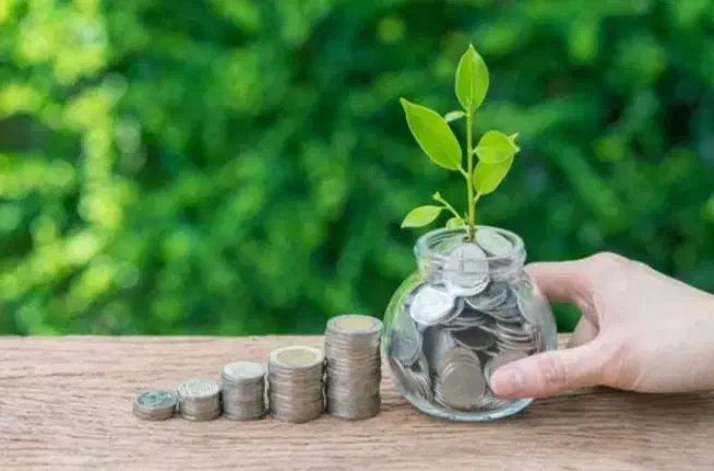 ضامن|خدمات مالی، حسابداری، بیمه|پرند, فاز ۴|دیوار