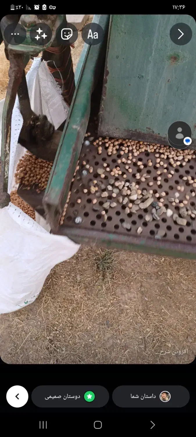 نخود|خوردنی و آشامیدنی|سربند, |دیوار