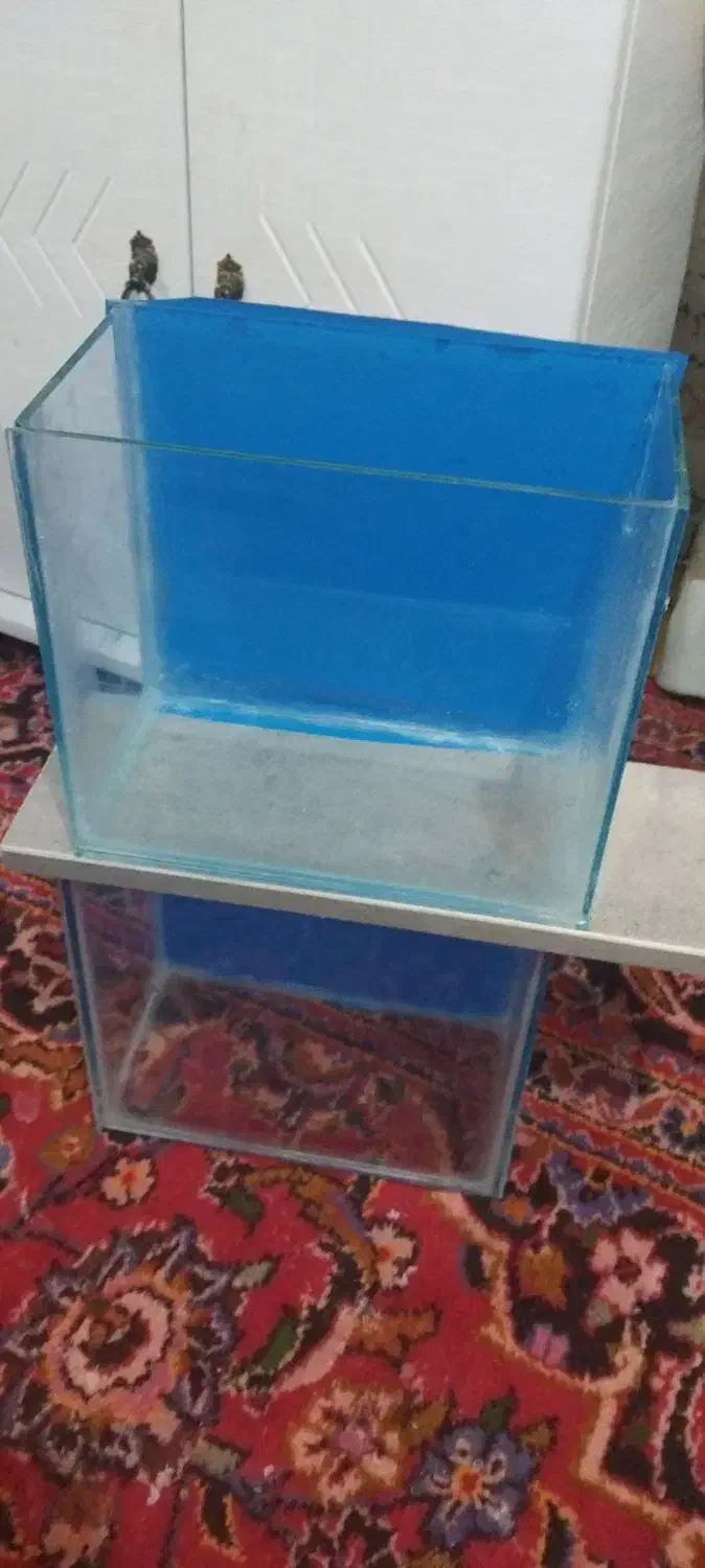 آکواریوم دست ساز عالیه|ماهی|خرمشهر, |دیوار