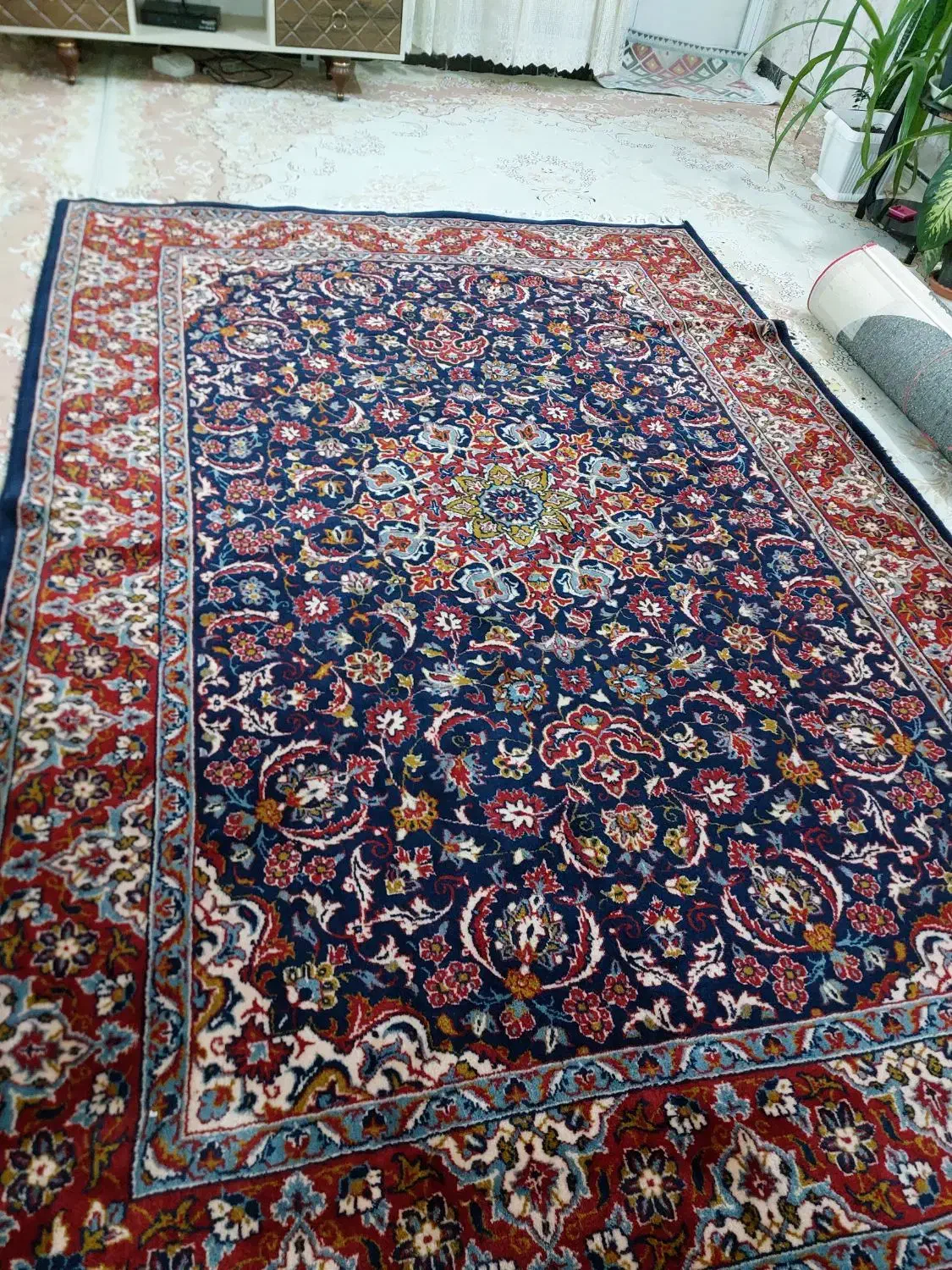 فرش ۶ متری|فرش|بروجرد, |دیوار