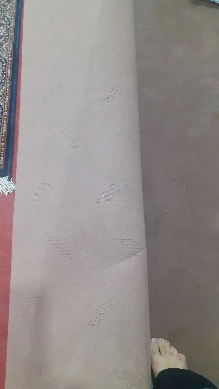 موکت|موکت|نهاوند, |دیوار