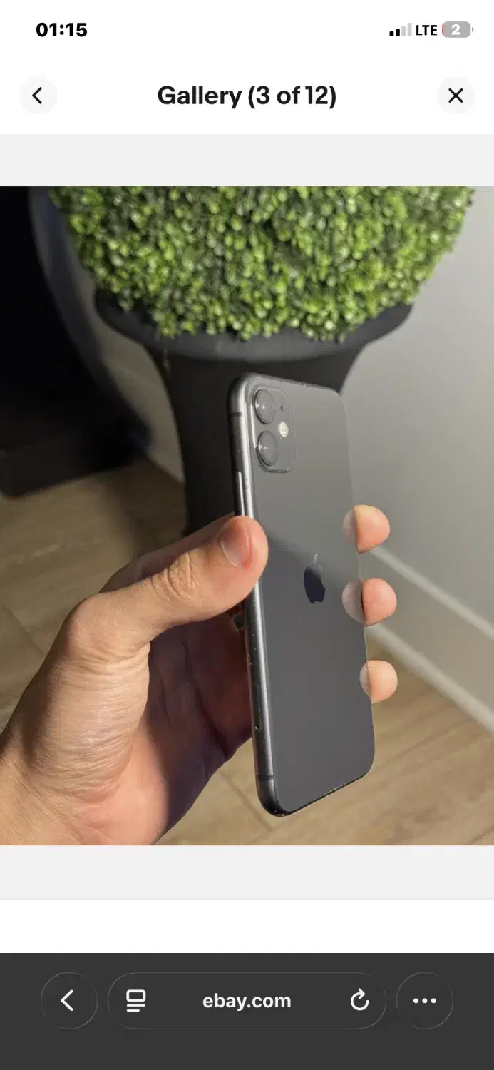 iPhone 11|موبایل|نوشهر, |دیوار