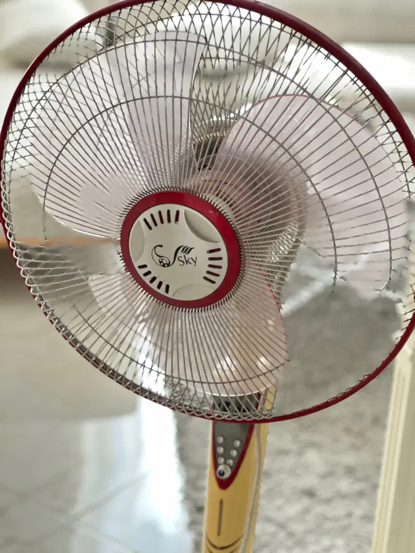 پنکه پایه بلند|پنکه و تصفیهکنندهٔ هوا|تهران, صادقیه|دیوار