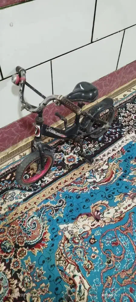 دوچرخ 12|دوچرخه، اسکیت، اسکوتر|اهواز, سپیدار|دیوار