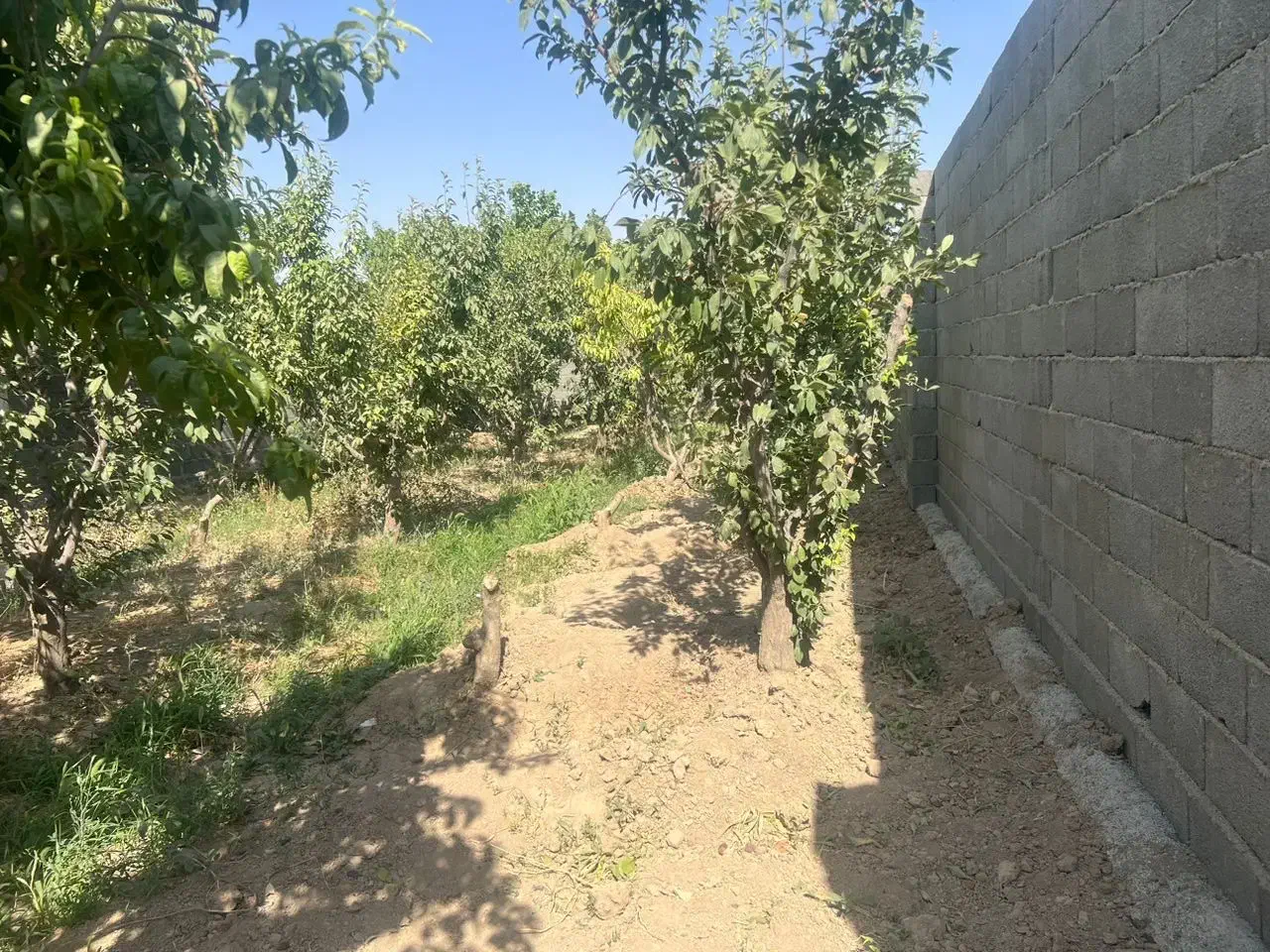 باغ ۴ دیواری|فروش دفتر صنعتی، کشاورزی، تجاری|رامجین, |دیوار