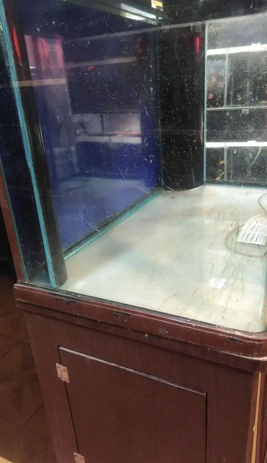 آکواریوم شیشه خم باکمد مین جیانگ قهوه ای یک متری|ماهی|کرمان, |دیوار