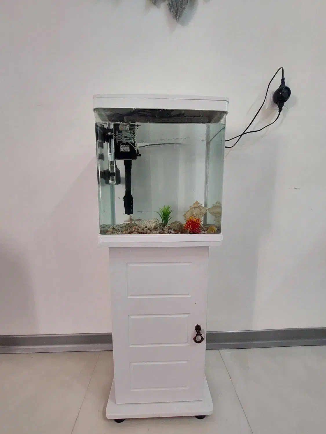 آکواریوم شرکتی|ماهی|گلبهار, شهر جدید گلبهار|دیوار