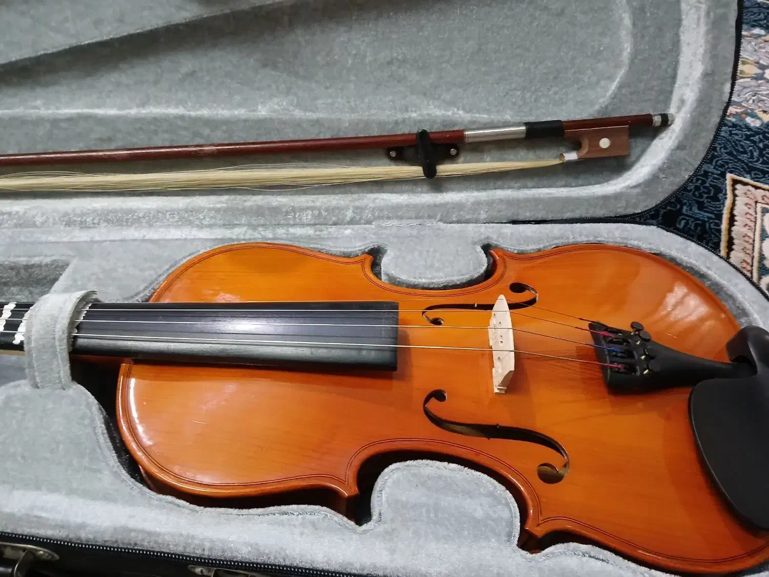 ویولن TF Student|ویولن|سروستان, |دیوار