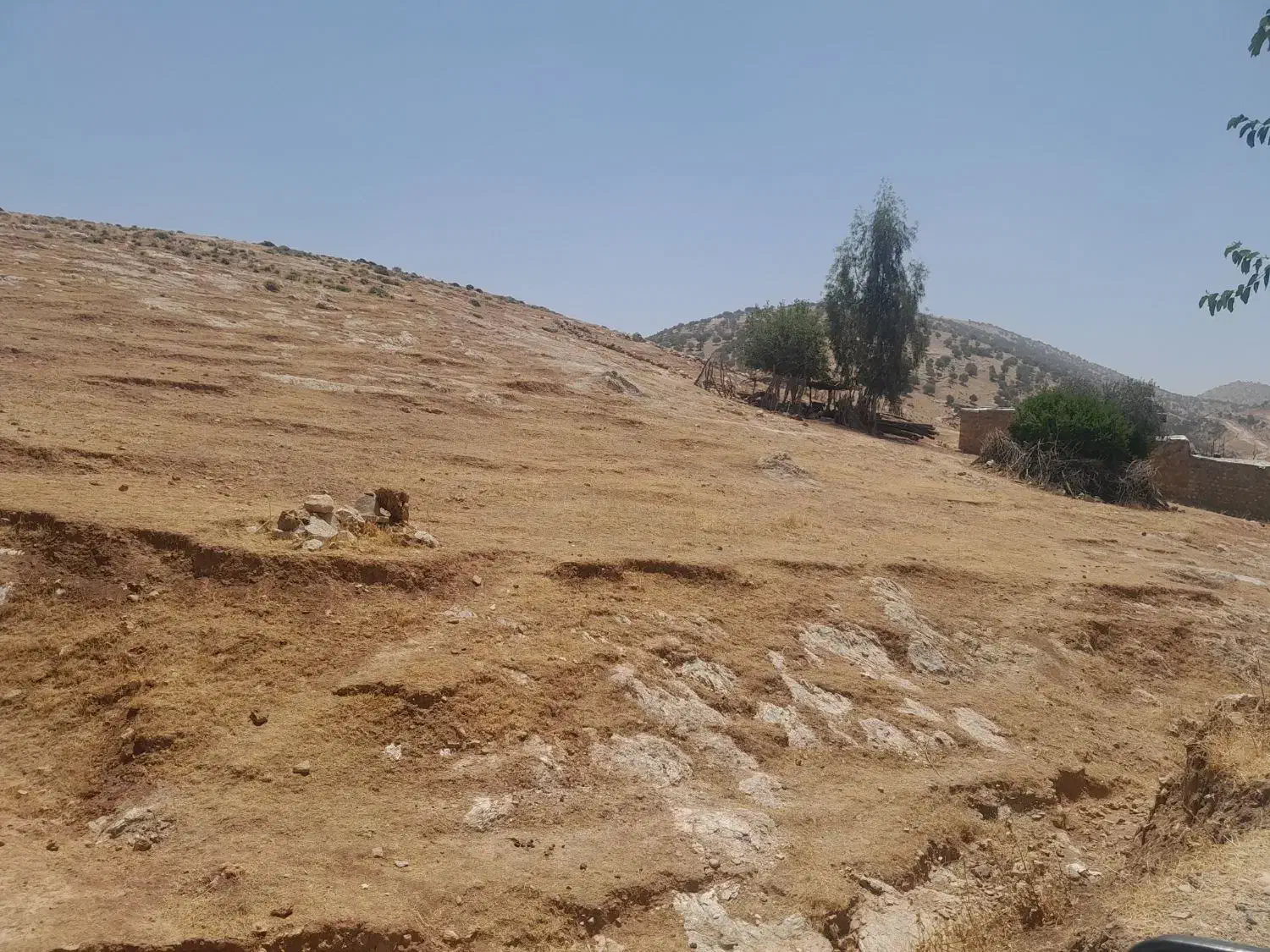 زمین شیروان|فروش زمین و ملک کلنگی|سیروان, |دیوار