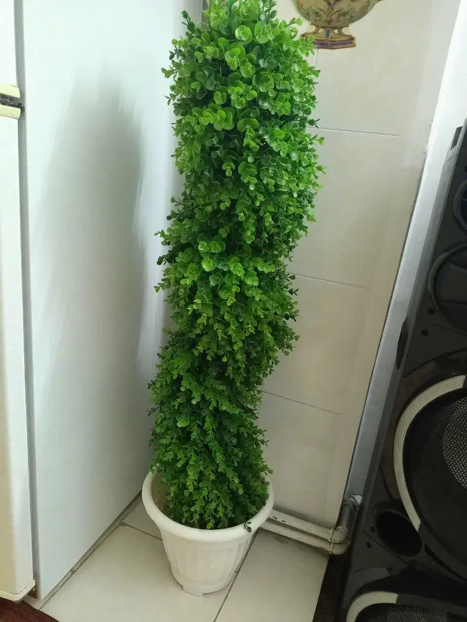 گل مصنوعی|گل مصنوعی|سمنان, |دیوار