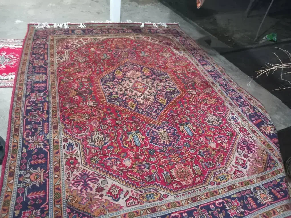 فرش طبیعی|فرش|خوی, |دیوار