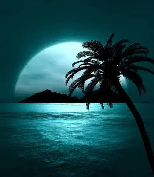 فروش دکه در خیابان جامی|فروش مغازه و غرفه|سنندج, |دیوار