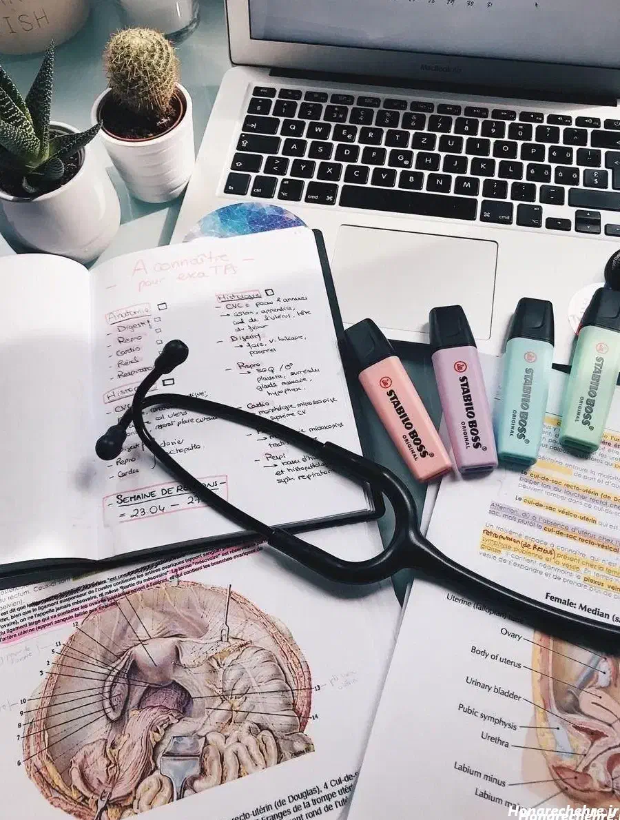 مشاور کنکور|خدمات آموزشی|بیرجند, |دیوار