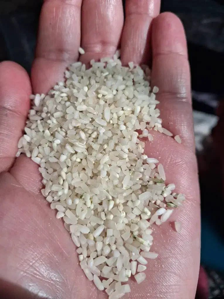 برنج و نیم میم دانه کامفیروزی|خوردنی و آشامیدنی|شیراز, شریف‌آباد|دیوار