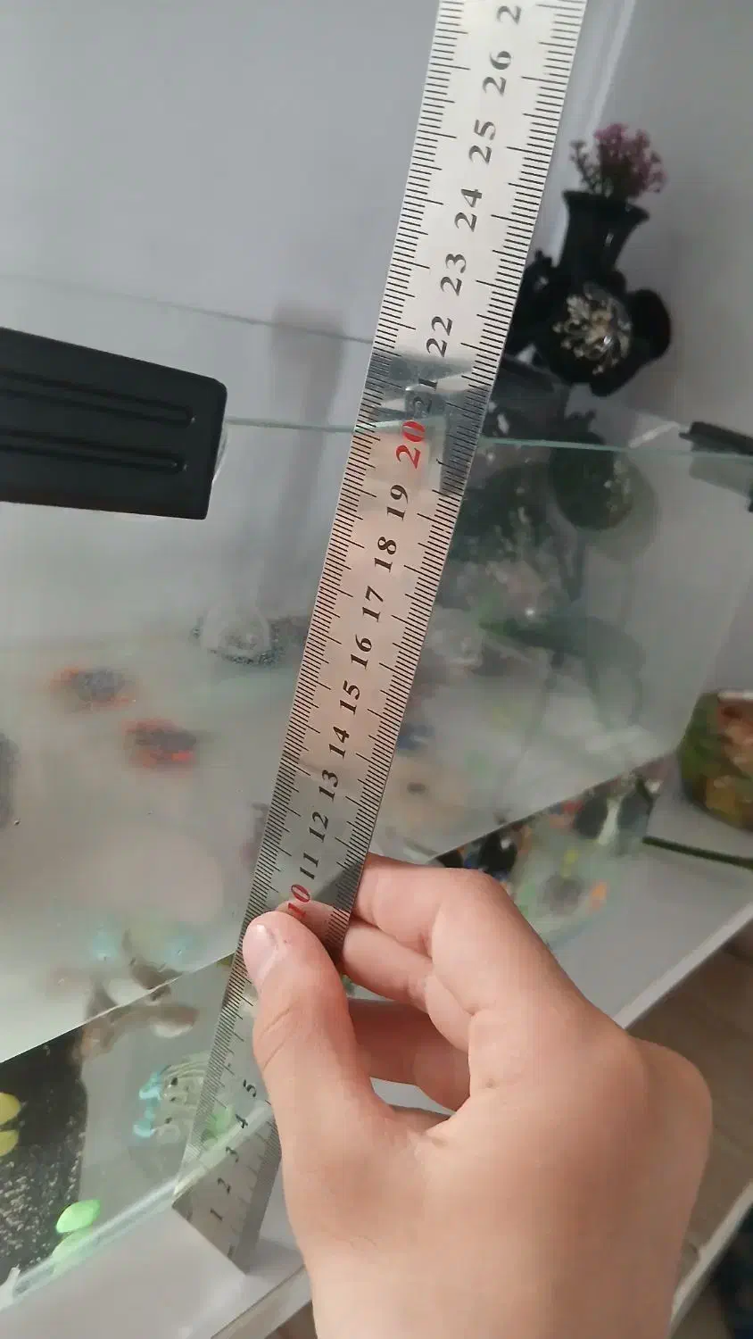 آکواریوم شیشه خم با ماهی با پمپ و...|ماهی|الوند, |دیوار