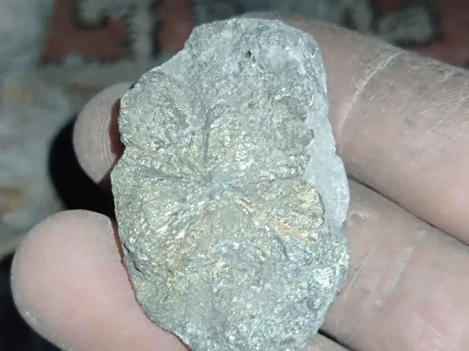 فروش سنگ تزیینی کلکسیونی|کلکسیون اشیاء عتیقه|بندر کنگان, |دیوار