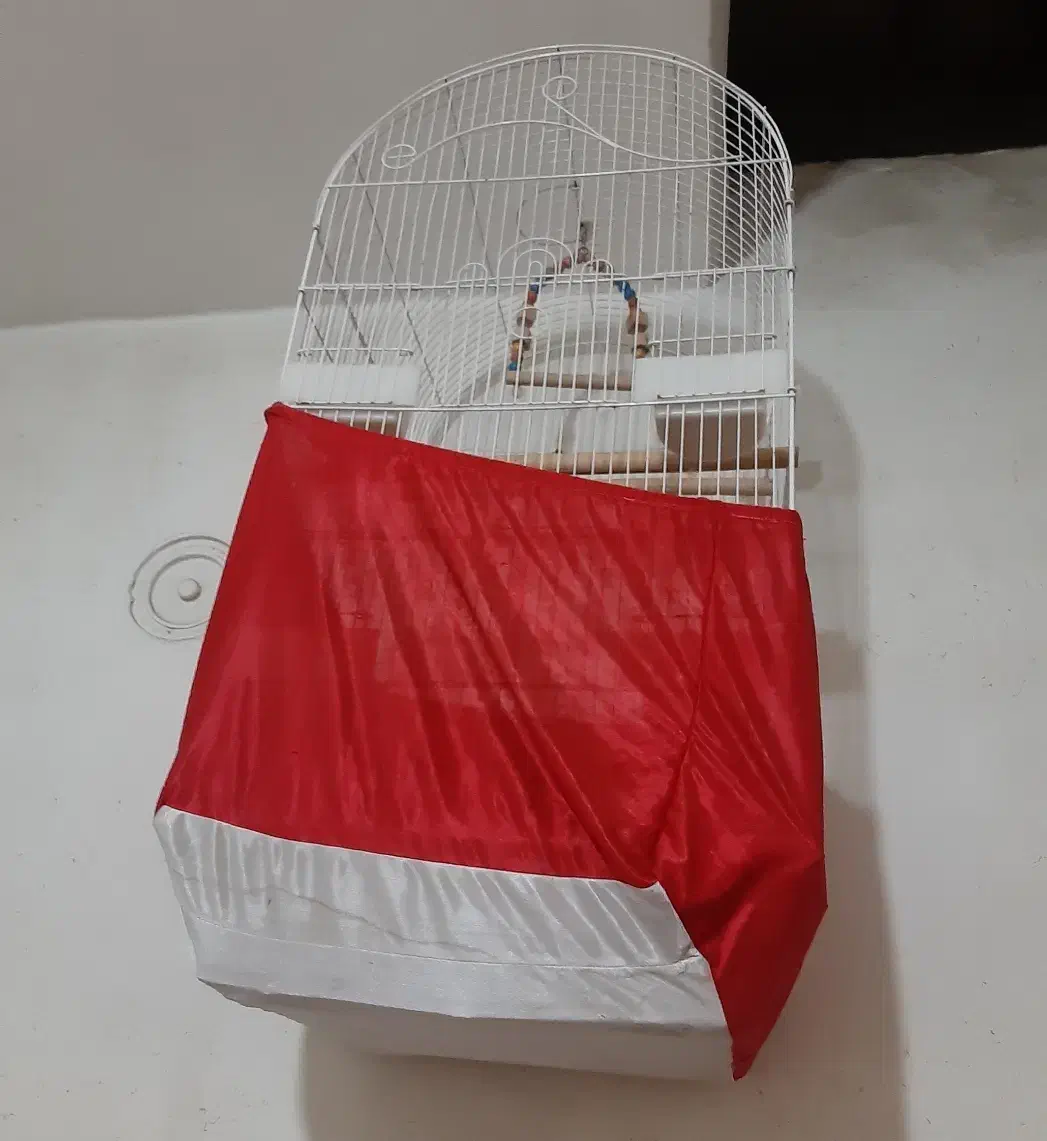 ۳عد فنج باقفس +۱عدد قفس بزرگ|پرنده|کهریزک, |دیوار