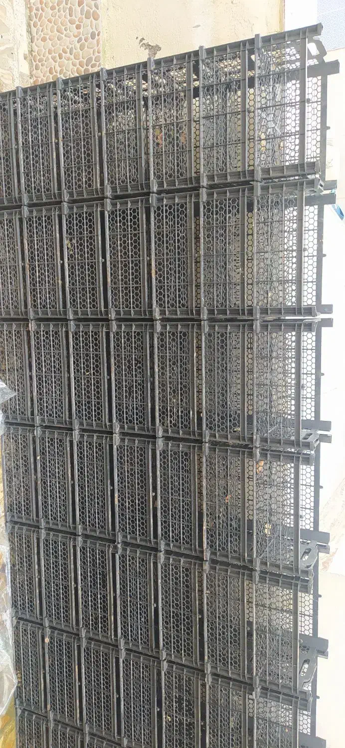 سبد میوه|ظروف نگهدارنده، پلاستیکی، یک‌بارمصرف|آستانه اشرفیه, |دیوار